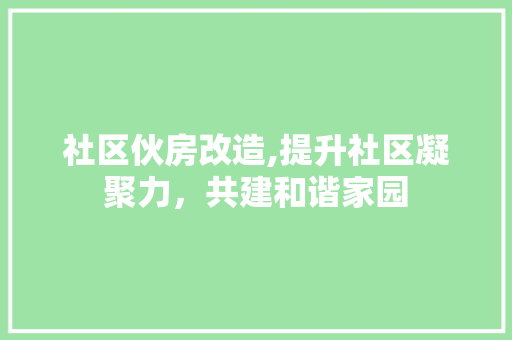 社区伙房改造,提升社区凝聚力，共建和谐家园