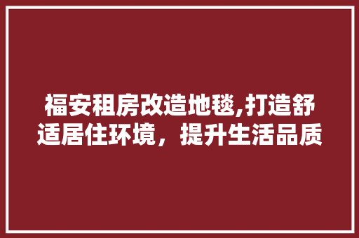 福安租房改造地毯,打造舒适居住环境，提升生活品质