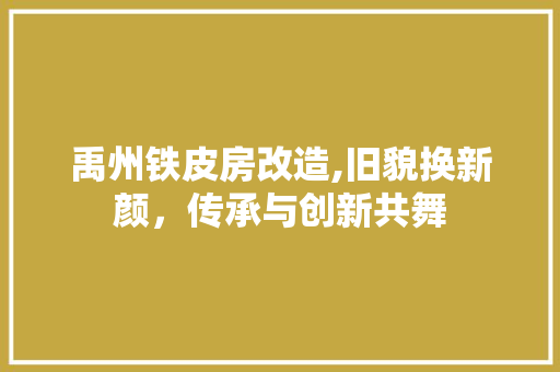禹州铁皮房改造,旧貌换新颜，传承与创新共舞 装修材料