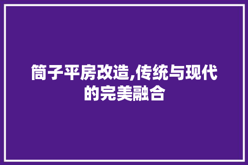 筒子平房改造,传统与现代的完美融合 墙面装饰