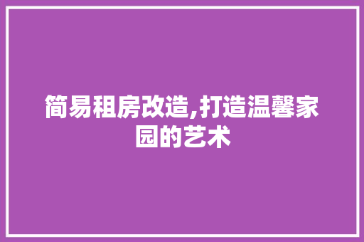 简易租房改造,打造温馨家园的艺术