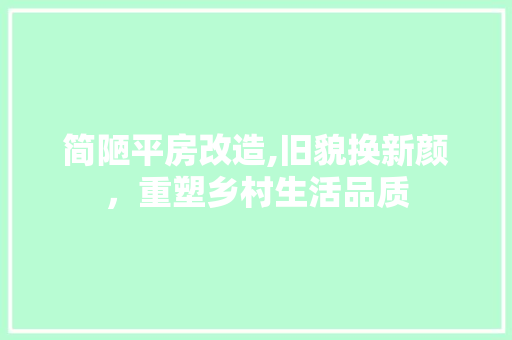 简陋平房改造,旧貌换新颜，重塑乡村生活品质