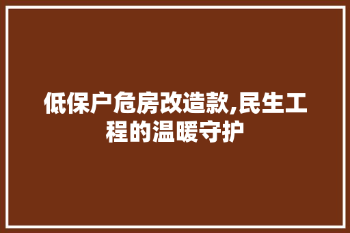 低保户危房改造款,民生工程的温暖守护 装修材料