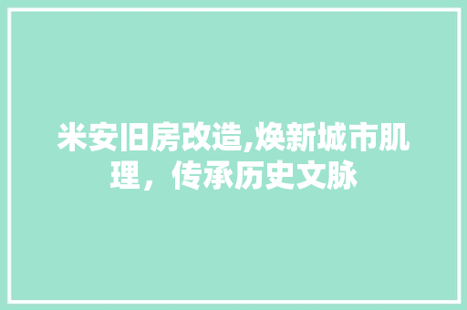 米安旧房改造,焕新城市肌理，传承历史文脉