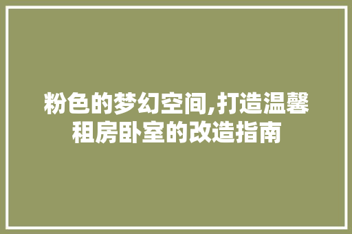 粉色的梦幻空间,打造温馨租房卧室的改造指南