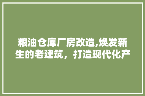 粮油仓库厂房改造,焕发新生的老建筑，打造现代化产业空间