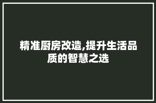 精准厨房改造,提升生活品质的智慧之选