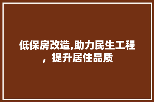 低保房改造,助力民生工程，提升居住品质
