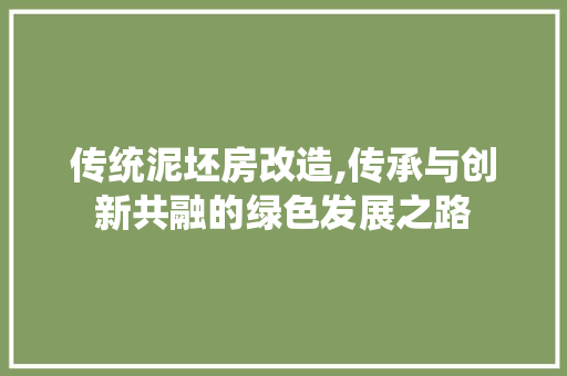 传统泥坯房改造,传承与创新共融的绿色发展之路