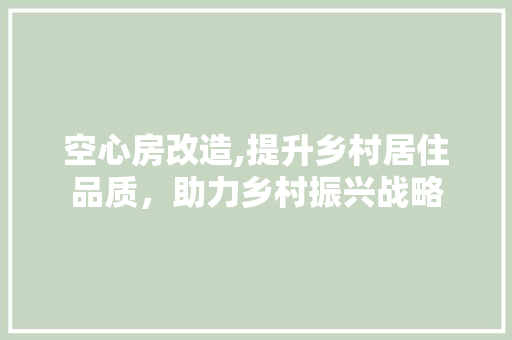空心房改造,提升乡村居住品质，助力乡村振兴战略