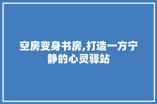 空房变身书房,打造一方宁静的心灵驿站