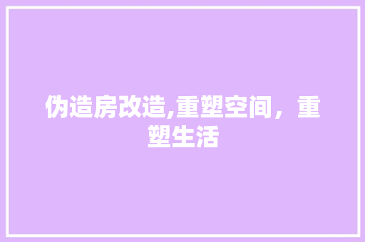伪造房改造,重塑空间，重塑生活