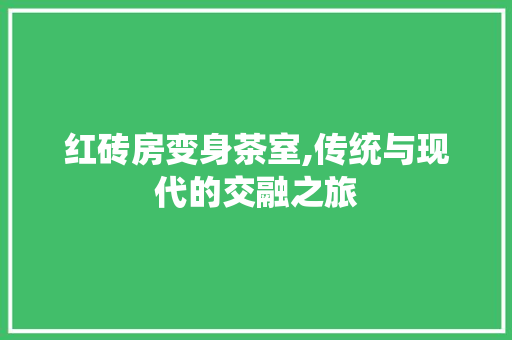 红砖房变身茶室,传统与现代的交融之旅