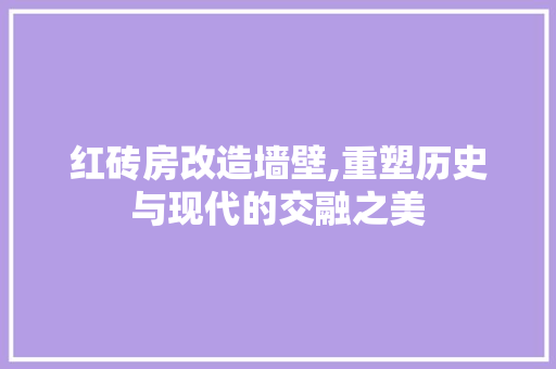 红砖房改造墙壁,重塑历史与现代的交融之美 装修攻略