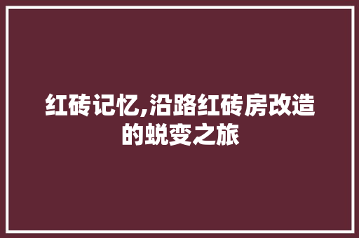 红砖记忆,沿路红砖房改造的蜕变之旅 庭院装修