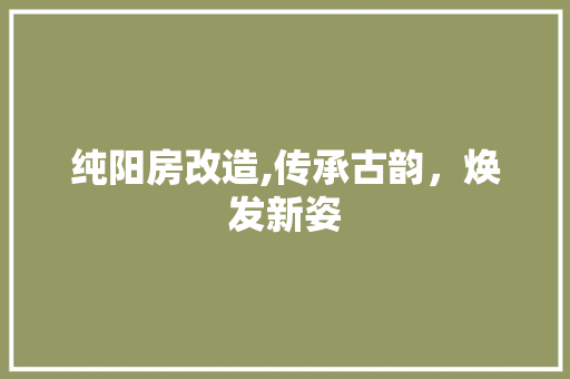 纯阳房改造,传承古韵，焕发新姿