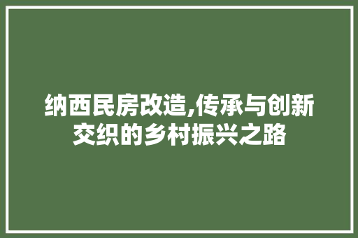 纳西民房改造,传承与创新交织的乡村振兴之路