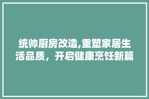 统帅厨房改造,重塑家居生活品质，开启健康烹饪新篇章