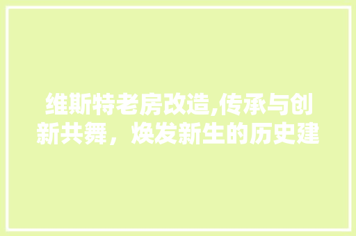 维斯特老房改造,传承与创新共舞，焕发新生的历史建筑