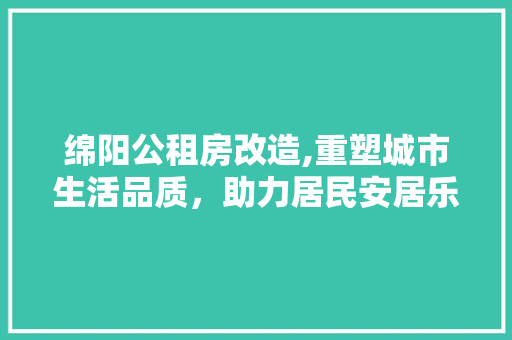绵阳公租房改造,重塑城市生活品质，助力居民安居乐业