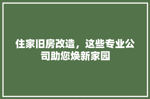 住家旧房改造，这些专业公司助您焕新家园 装修材料