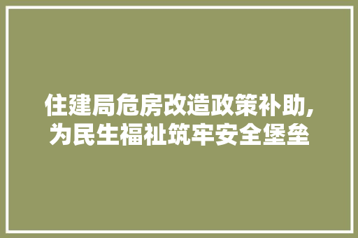 住建局危房改造政策补助,为民生福祉筑牢安全堡垒