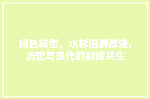 绿色转型，水杉旧房改造,历史与现代的和谐共生