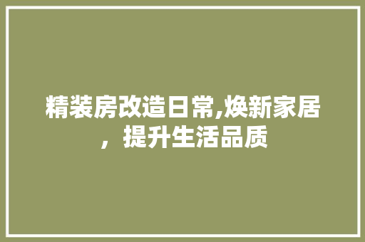精装房改造日常,焕新家居，提升生活品质