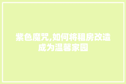 紫色魔咒,如何将租房改造成为温馨家园
