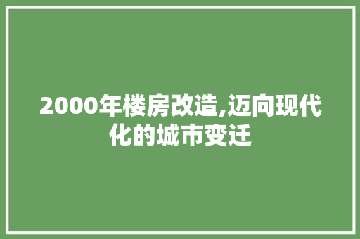 2000年楼房改造,迈向现代化的城市变迁