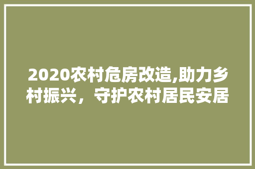2020农村危房改造,助力乡村振兴，守护农村居民安居乐业