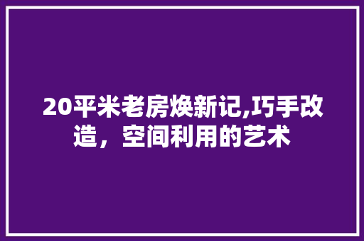 20平米老房焕新记,巧手改造，空间利用的艺术