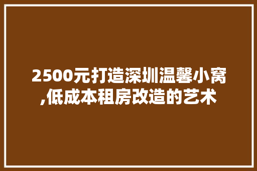 2500元打造深圳温馨小窝,低成本租房改造的艺术