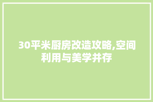 30平米厨房改造攻略,空间利用与美学并存