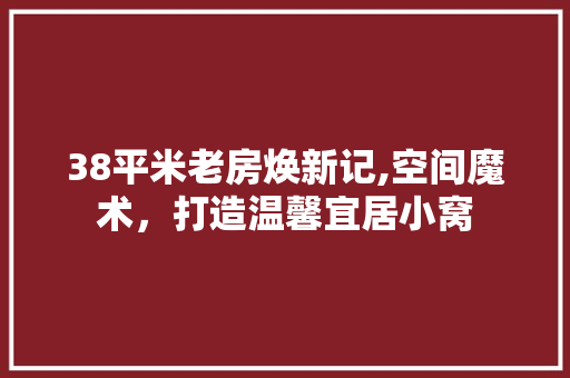 38平米老房焕新记,空间魔术，打造温馨宜居小窝