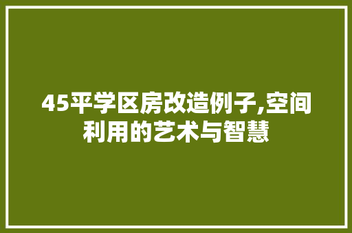 45平学区房改造例子,空间利用的艺术与智慧 隔断设计