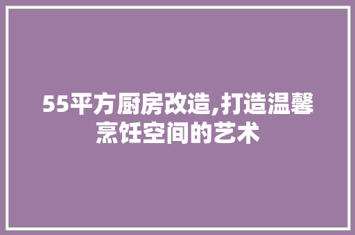 55平方厨房改造,打造温馨烹饪空间的艺术
