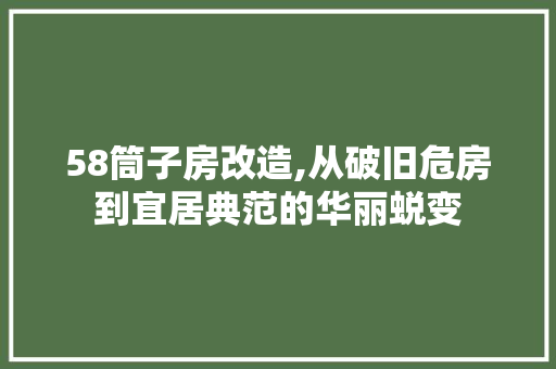 58筒子房改造,从破旧危房到宜居典范的华丽蜕变