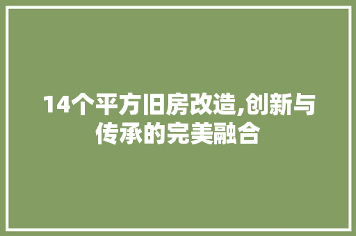 14个平方旧房改造,创新与传承的完美融合