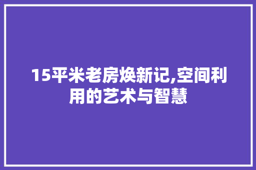 15平米老房焕新记,空间利用的艺术与智慧