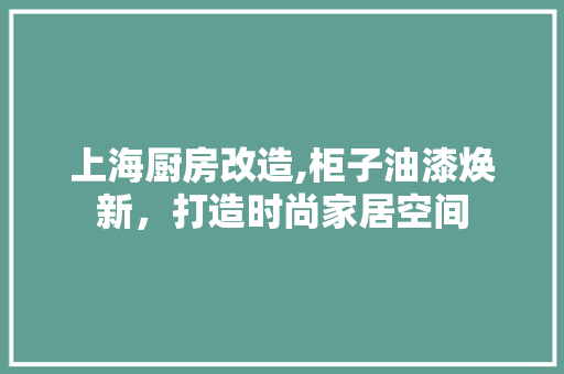 上海厨房改造,柜子油漆焕新，打造时尚家居空间