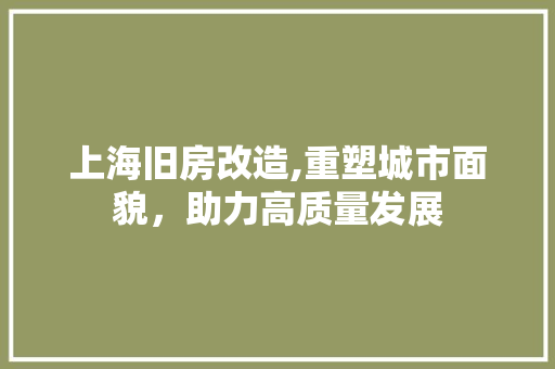 上海旧房改造,重塑城市面貌，助力高质量发展