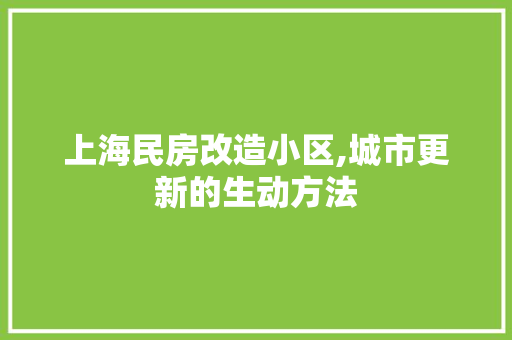 上海民房改造小区,城市更新的生动方法