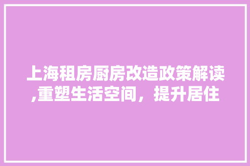 上海租房厨房改造政策解读,重塑生活空间，提升居住品质