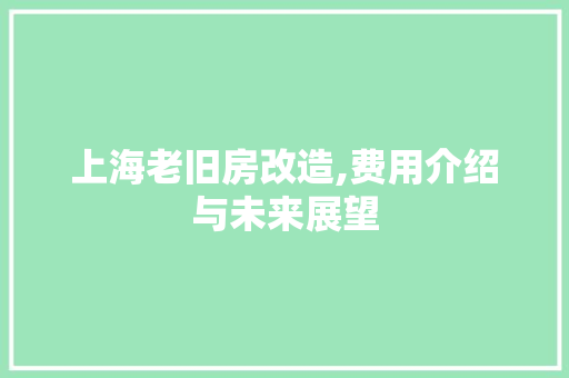 上海老旧房改造,费用介绍与未来展望
