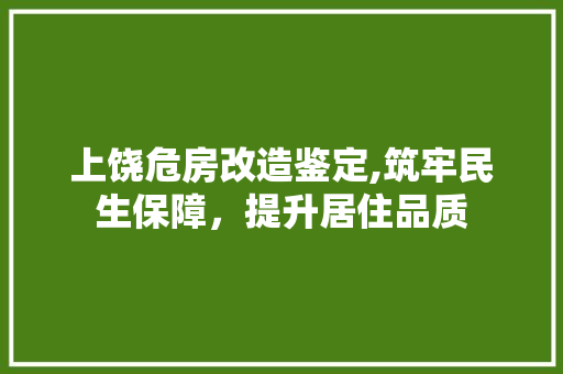 上饶危房改造鉴定,筑牢民生保障，提升居住品质