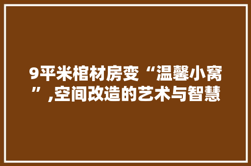 9平米棺材房变“温馨小窝”,空间改造的艺术与智慧