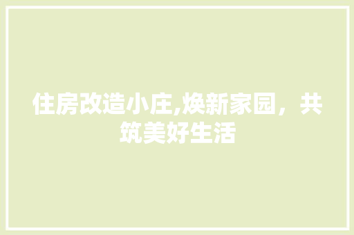 住房改造小庄,焕新家园，共筑美好生活