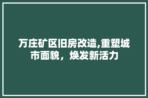 万庄矿区旧房改造,重塑城市面貌，焕发新活力 门窗装修