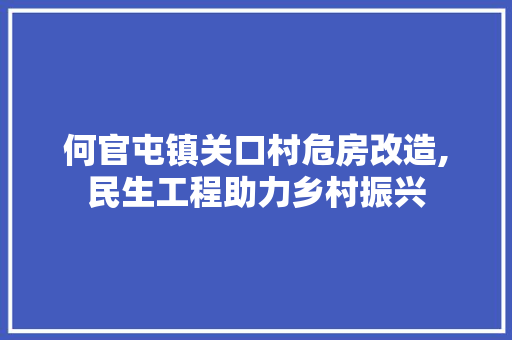 何官屯镇关口村危房改造,民生工程助力乡村振兴 庭院装修